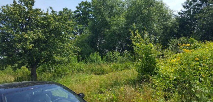 Działka budowlana * SPRZEDAŻ * Hucisko * gm. Niwiska