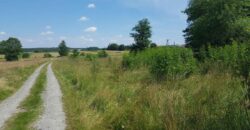 Działka budowlana * SPRZEDAŻ * Hucisko * gm. Niwiska