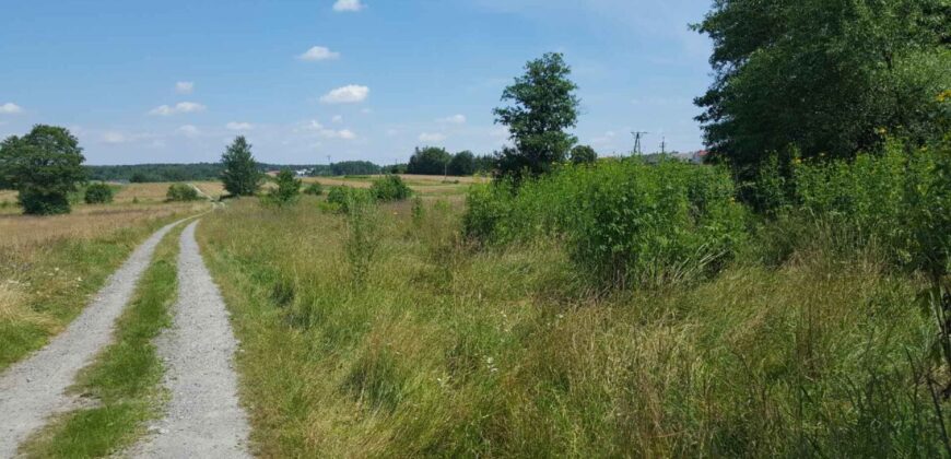 Działka budowlana * SPRZEDAŻ * Hucisko * gm. Niwiska