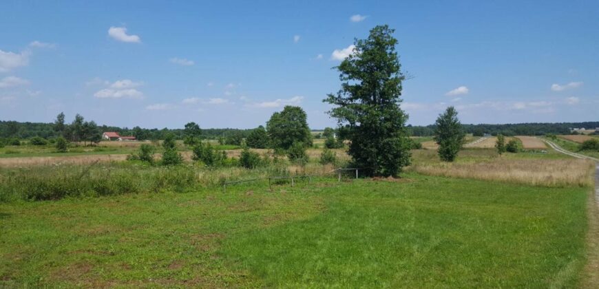 Działka budowlana * SPRZEDAŻ * Hucisko * gm. Niwiska