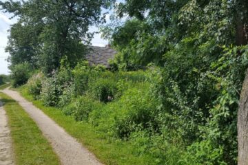 Działka budowlana * SPRZEDAŻ * Hucisko * gm. Niwiska