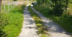 Działka budowlana * SPRZEDAŻ * Hucisko * gm. Niwiska