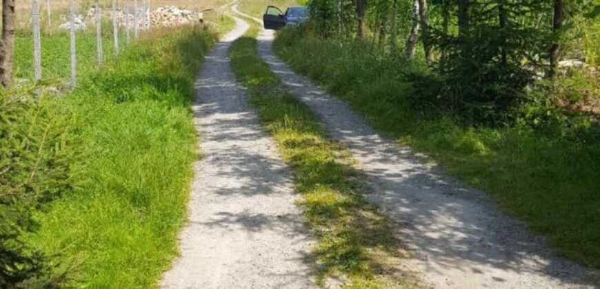 Działka budowlana * SPRZEDAŻ * Hucisko * gm. Niwiska