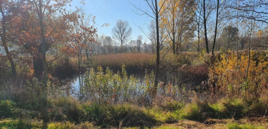 Działka budowlana* SPRZEDAŻ * Kosówka