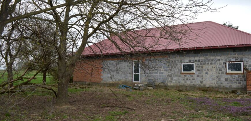 Dom * Sprzedaż  * Ostrówek* Gm. Gawłuszowice