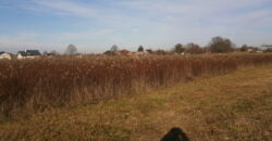 Działka budowlana * SPRZEDAŻ * Podleszany