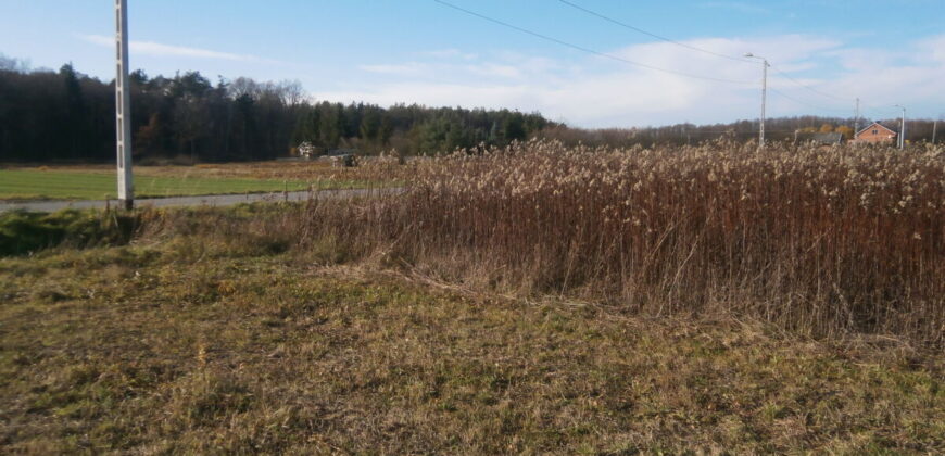 Działka budowlana * SPRZEDAŻ * Podleszany