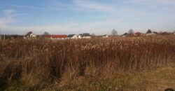 Działka budowlana * SPRZEDAŻ * Podleszany