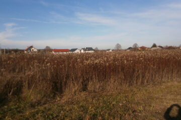 Działka budowlana * SPRZEDAŻ * Podleszany