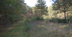 Działka budowlana * SPRZEDAŻ * Przyłęk* gm. Niwiska