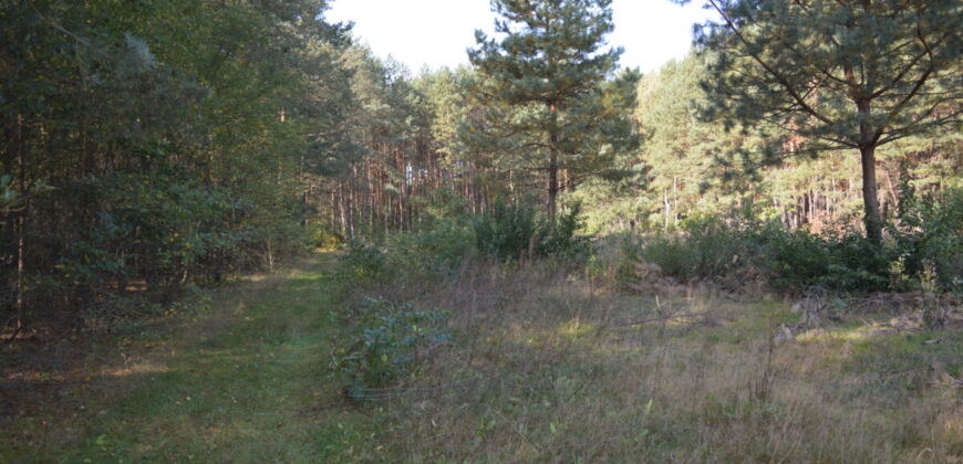 Działka budowlana * SPRZEDAŻ * Przyłęk* gm. Niwiska