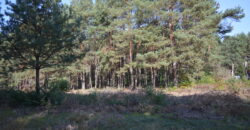 Działka budowlana * SPRZEDAŻ * Przyłęk* gm. Niwiska