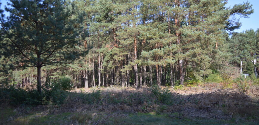 Działka budowlana * SPRZEDAŻ * Przyłęk* gm. Niwiska