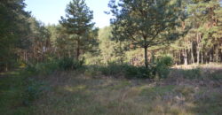 Działka budowlana * SPRZEDAŻ * Przyłęk* gm. Niwiska