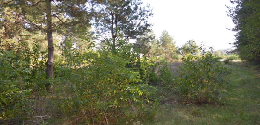 Działka budowlana * SPRZEDAŻ * Przyłęk* gm. Niwiska