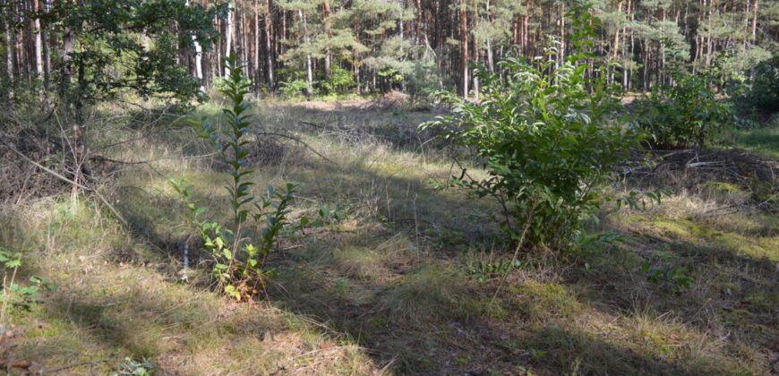 Działka budowlana * SPRZEDAŻ * Przyłęk* gm. Niwiska