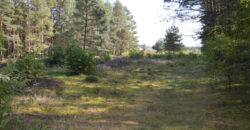 Działka budowlana * SPRZEDAŻ * Przyłęk* gm. Niwiska