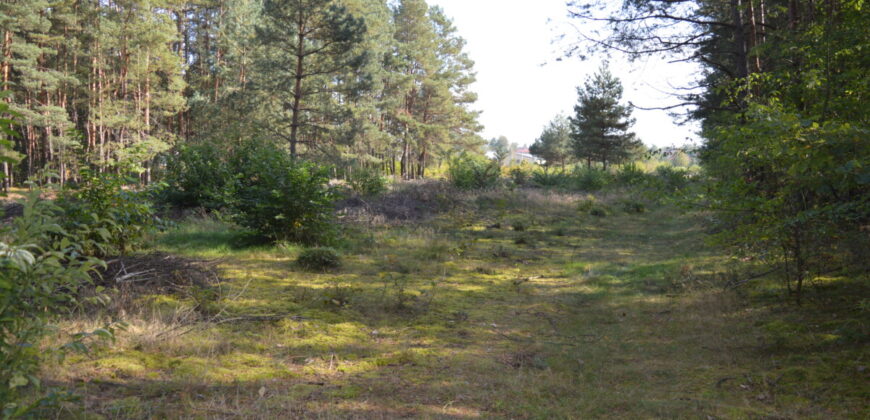 Działka budowlana * SPRZEDAŻ * Przyłęk* gm. Niwiska