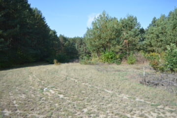 Działka budowlana * SPRZEDAŻ * Przyłęk* gm. Niwiska