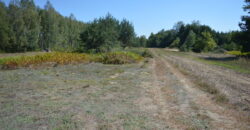 Działka budowlana * SPRZEDAŻ * Biały Bór