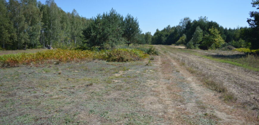 Działka budowlana * SPRZEDAŻ * Biały Bór