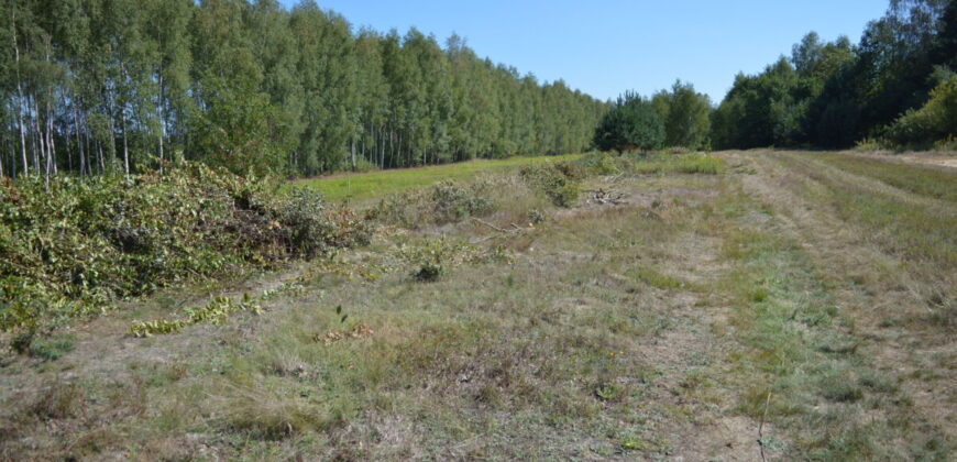 Działka budowlana * SPRZEDAŻ * Biały Bór