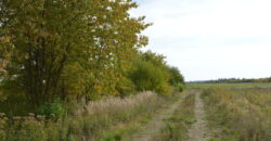 Działka * SPRZEDAŻ * Grochowe*Gm. Tuszów Narodowy