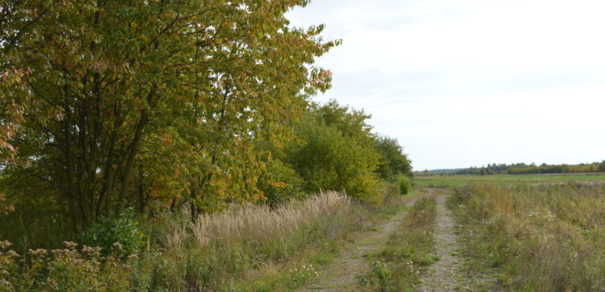 Działka * SPRZEDAŻ * Grochowe*Gm. Tuszów Narodowy