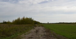 Działka * SPRZEDAŻ * Grochowe*Gm. Tuszów Narodowy