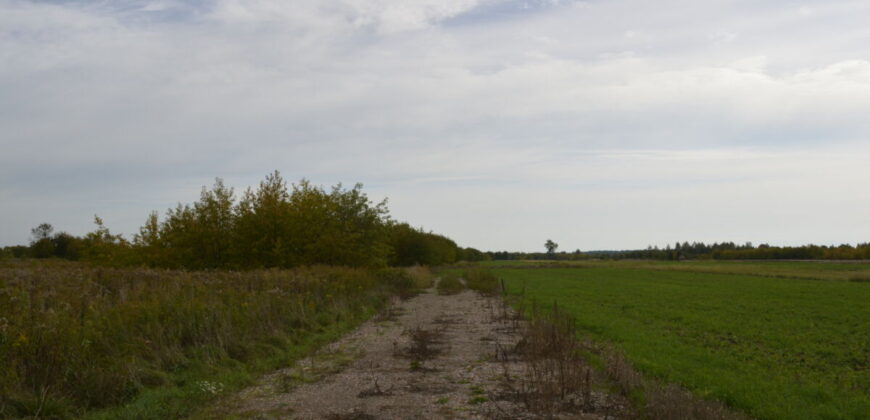 Działka * SPRZEDAŻ * Grochowe*Gm. Tuszów Narodowy