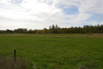 Działka * SPRZEDAŻ * Grochowe*Gm. Tuszów Narodowy