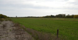 Działka * SPRZEDAŻ * Grochowe*Gm. Tuszów Narodowy