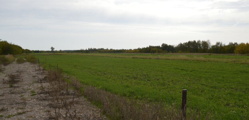 Działka * SPRZEDAŻ * Grochowe*Gm. Tuszów Narodowy