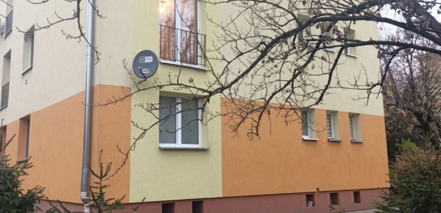 Mieszkanie * SPRZEDAŻ * Mielec* ul. Tetmajera*Niższa cena!