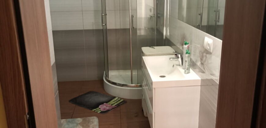 Dom * SPRZEDAŻ *Miejscowość, Borowa* pow. Mielec